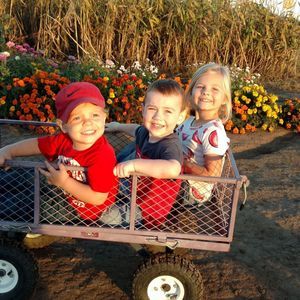 Meet your Posher, Joyce